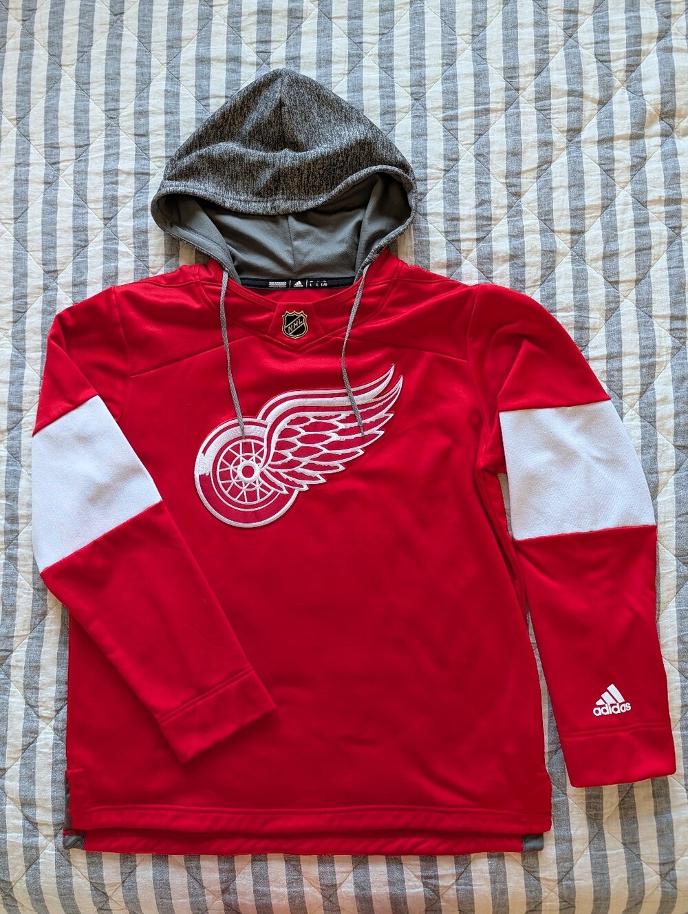 Detroit Red Wings Jersey Hoodie EUC